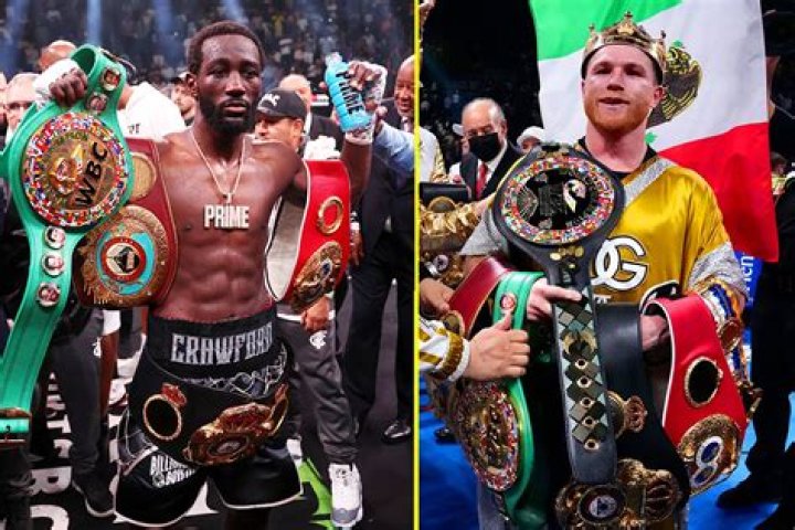 Canelo Boxing: The Rise Of A Champion