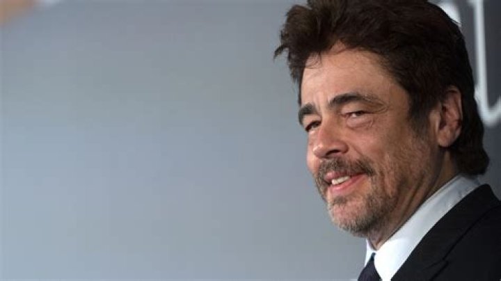 Exploring The Connection Between Benicio Del Toro And Guillermo Del Toro