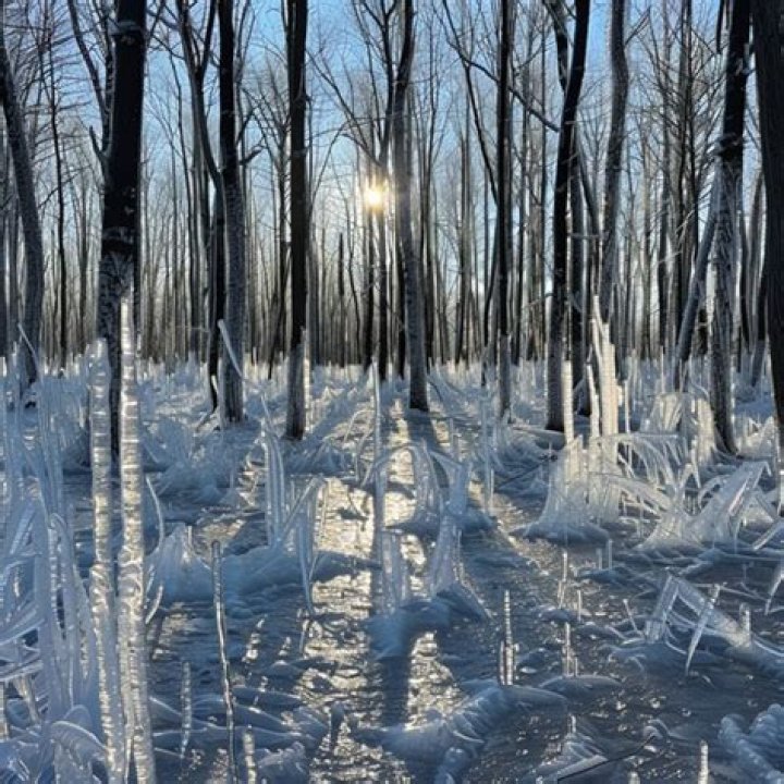 Late Winter Pictures: Capturing The End Of The Cold Season