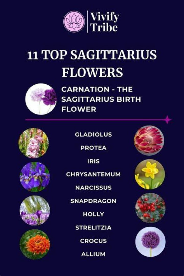 Sagittarius Flower: The Bloom That Embodies Freedom And Adventure