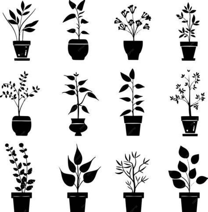 Stunning Pot Plant Silhouette: Elevate Your Home Decor