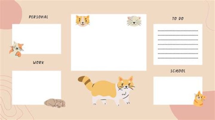 The Perfect Agenda For Your Cute And Organized Life