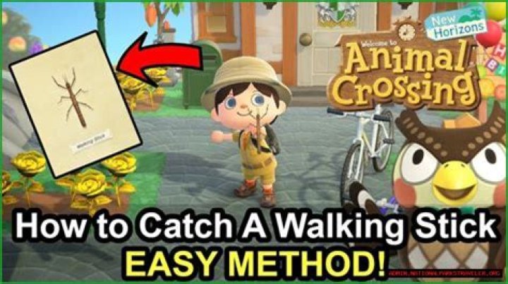 The Ultimate Guide To The Animal Crossing: New Horizons Walking Stick