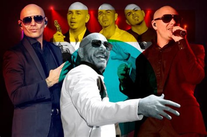 Unleashing The Rhythms: The Journey Of The Pitbull Singer