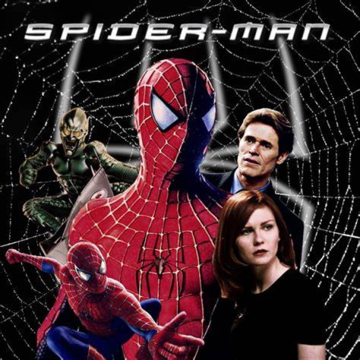 Unmasking The Marvel: The Iconic Spiderman 2002 Cast