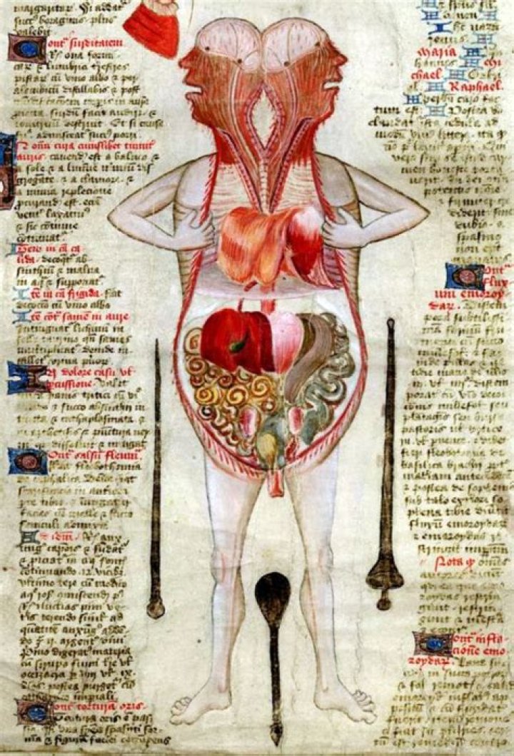 Unraveling The Mystery Of Tarrare's Autopsy Organs