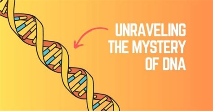 Unraveling The Mystery Of The Aubreigh Case